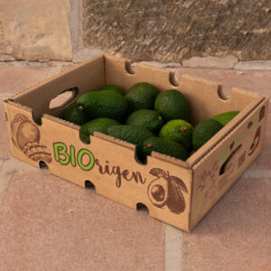 Caja Aguacate Ecológico
