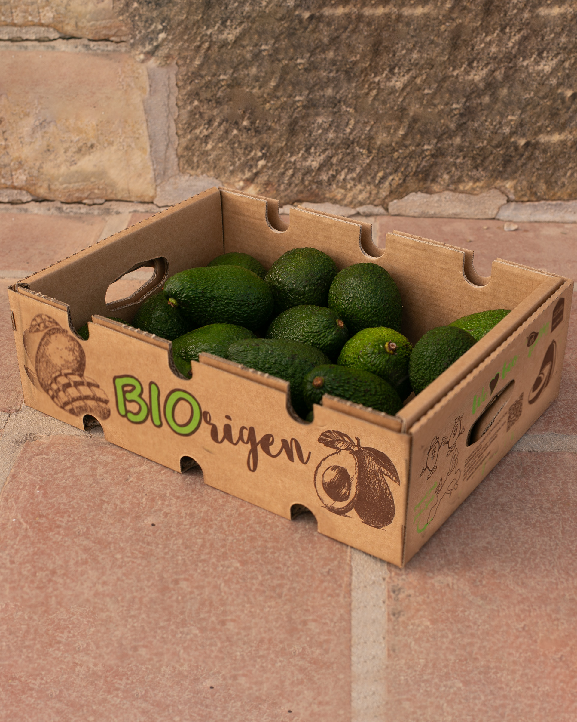 Caja Aguacate Ecológico