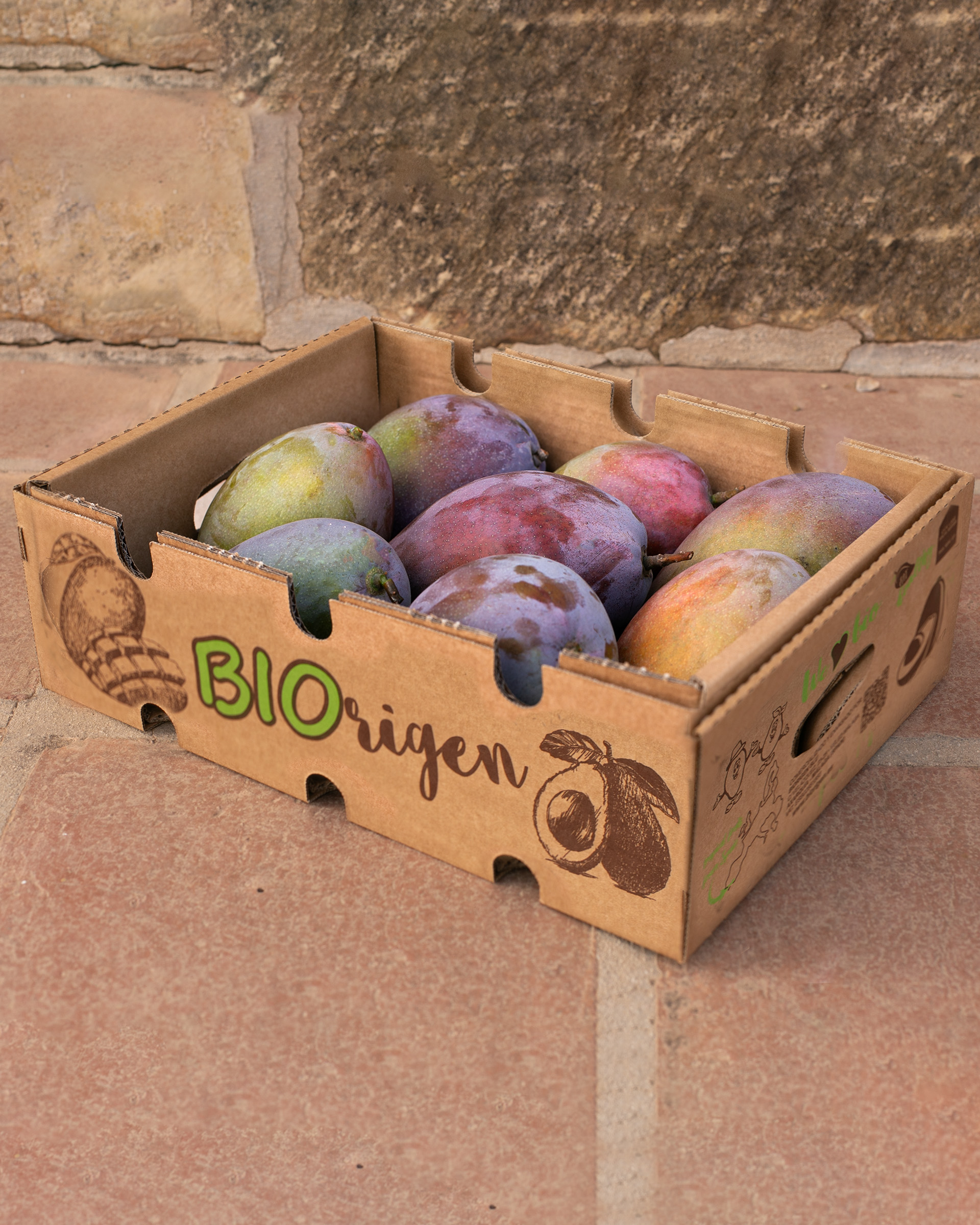 Caja Mango Osteen 4 kg