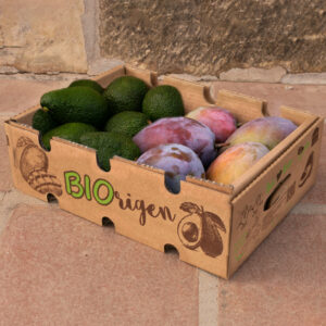 Caja Mixta Aguacate y Mango