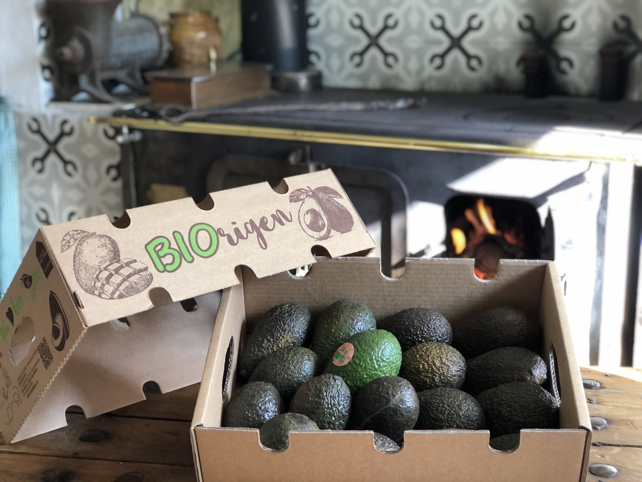 MUNDO AVOCADO EN 'SPANIEN AKTUELL' ECOFRUTO 1 scaled