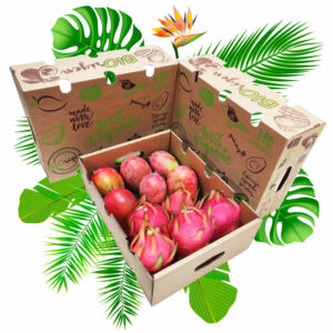 caja mango pitaya
