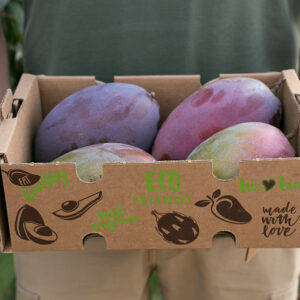Caja Mango 2 kg