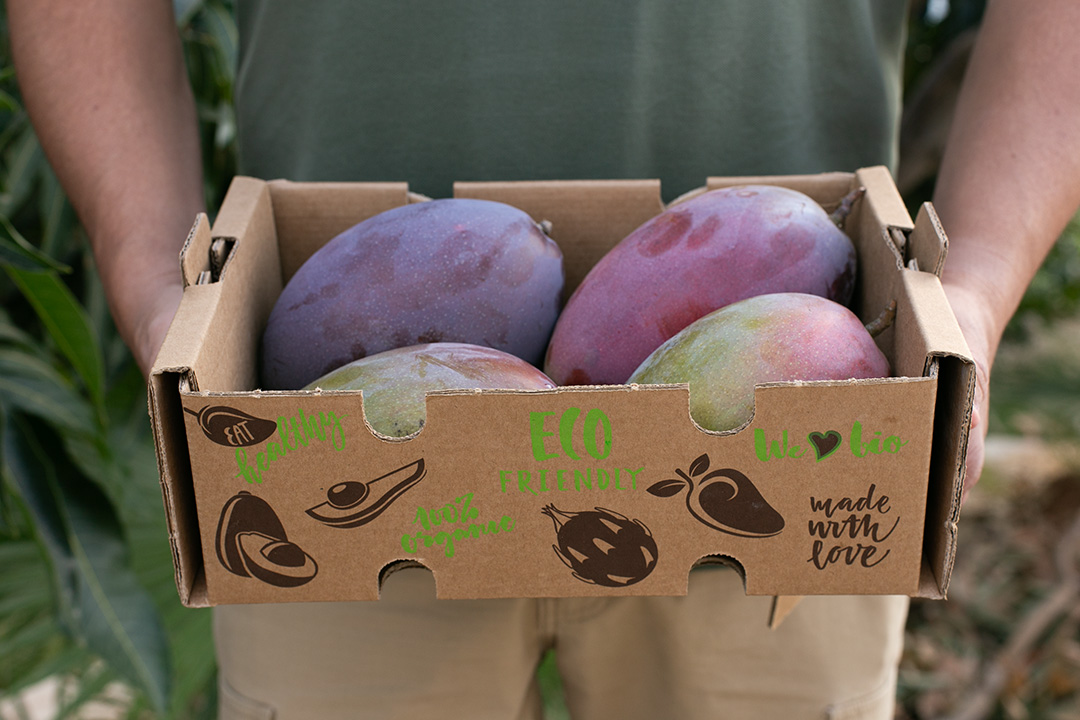 Caja Mango 2 kg